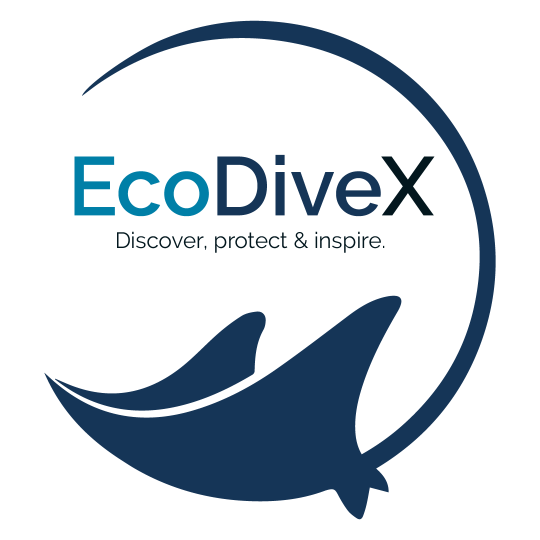 ecodivex.com